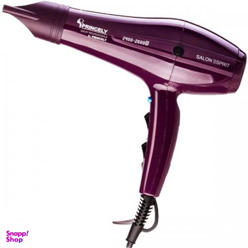 سشوار حرفه ای پرینسلی (Princely) مدل Pr250at