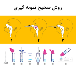 تست سریع کرونا روژان (ROJAN) کد 001
