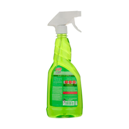 شیشه پاک کن هوم پلاس (Home Plus) مدل Flower حجم 500 میلی لیتر