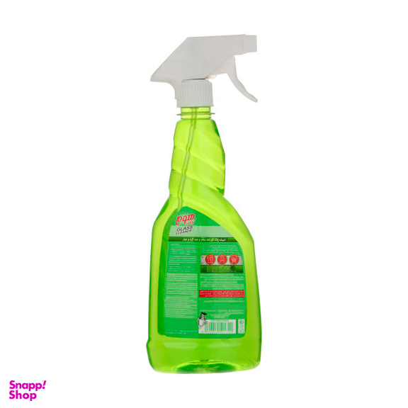 شیشه پاک کن هوم پلاس (Home Plus) مدل Flower حجم 500 میلی لیتر