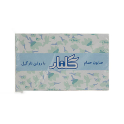 صابون حمام سبز گلنار مدل نارگیل وزن 130 گرم بسته 6 عددی