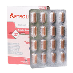 کپسول آرترولیستیکا هولیستیکا بسته 32 عددی