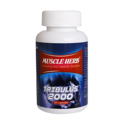 کپسول ماسل هرب (Muscle Herb) بهتا دارو بسته 60 عدد