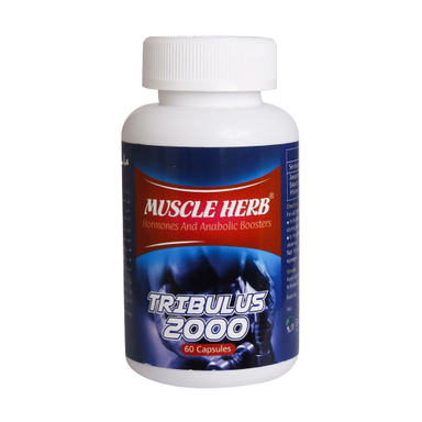کپسول ماسل هرب (Muscle Herb) بهتا دارو بسته 60 عدد
