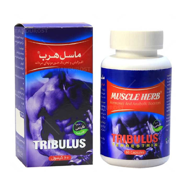 کپسول ماسل هرب تریبولوس 2000 بهتا دارو بسته 60 عددی