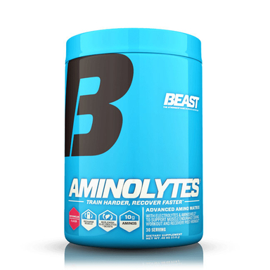 پودر آمینولایتس (Aminolytes) بیست طعم هندوانه حجم 414 گرم