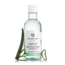 تونر تسکین دهنده بادی شاپ (The Body Shop) مدل Aloe حجم 250 میلی‌ لیتر