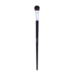 تستر براش سایه چشم دیور (Dior) شماره 21