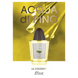 ادو کلن مردانه پینو سیلوستره (Pino Silvestre) مدل Acqua Di Pino Cologne
