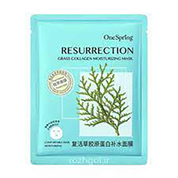 ماسک صورت وان اسپرینگ (One Spring) مدل گیاه رستاخیز حجم 25 میلی متر