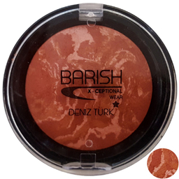 رژ گونه باریش (Barish) مدل Terracotta شماره 206