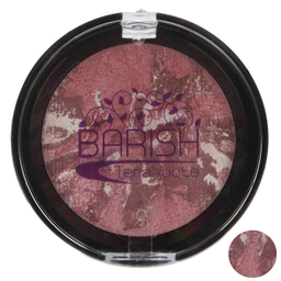 رژ گونه تراکوتا باریش (Barish) مدل Silky Touch
