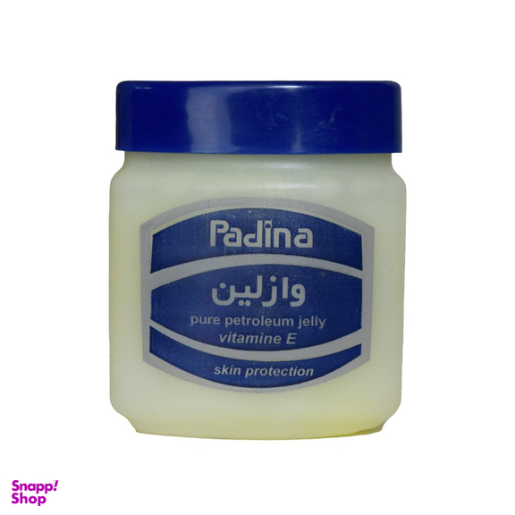 وازلین پادینا (Padina) مدل Skin Protection حجم 120 میلی‌لیتر