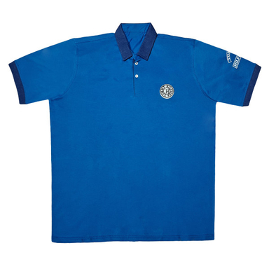 پولوشرت آستین کوتاه مردانه پاییزان مدل TP04L8 رنگ آبی