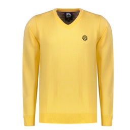 پلیور مردانه پاییزان کد P700 رنگ لیمویی