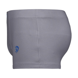 شورت پادار مردانه دلمود (DelMod) طرح Reebok مدل 249006715