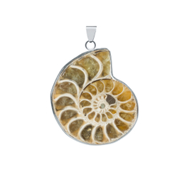 آویز گردنبند زنانه اقلیمه کد VB287