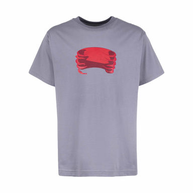 تیشرت گری (Gray) مدل Sober