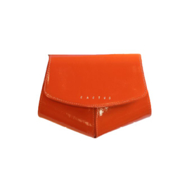 کیف کمری زنانه چرم کاکتوس (Charm Cactus) مدل WB6003