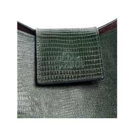کیف دستی زنانه چرم کاکتوس (Charm Cactus) مدل WB4004