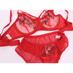ست شورت و سوتین زنانه کارنا رز مدل 3340 رنگ قرمز
