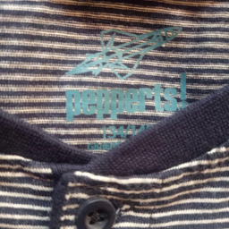 ست تی شرت و شلوارک پسرانه پیپرتس مدل lan100