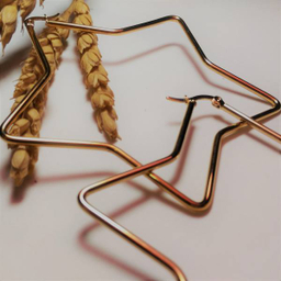 گوشواره زنانه مدل ستاره ای