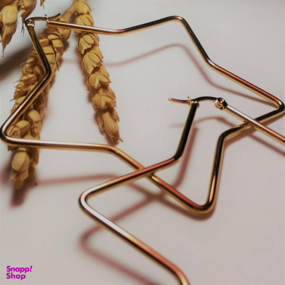 گوشواره زنانه مدل ستاره ای