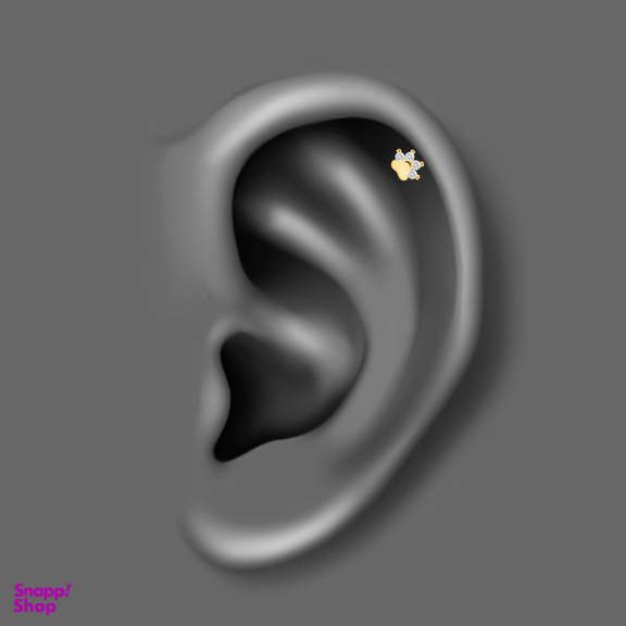 پیرسینگ گوش زنانه اقلیمه مدل HS205