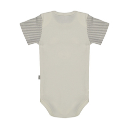 ست 13 تیکه نوزادی پسرانه نیلی مدل bear