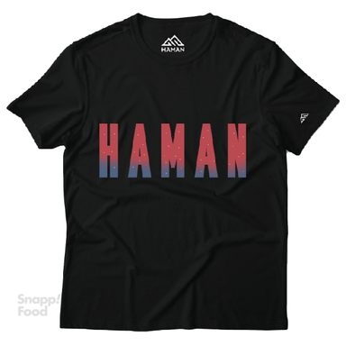 تیشرت آستین کوتاه مردانه هامان (Haman) مدل طیف رنگ مشکی