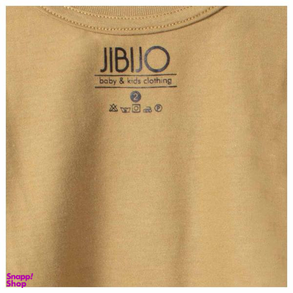 ست تیشرت و شلوار پسرانه جی بی جو (Jibijo) مدل دایناسور 70047