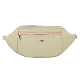 کیف دلفارد زنانه شیفر (Shifer) مدل 9f138 رنگ سبز روشن