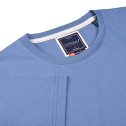 تیشرت یقه گرد مردانه جی تی هوگرو (GT Hugero) کد 10174 رنگ فیروزه ای