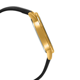 ساعت مچی عقربه‌ای مردانه کاسیو (Casio) مدل MTP-VD200GL-1BUDF