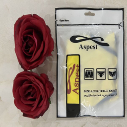 شورت زنانه اسپست (Aspest) مدل ASP-BYR000 بسته 3 عددی