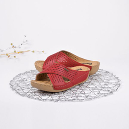 دمپایی زنانه پردیس مدل RD.2525