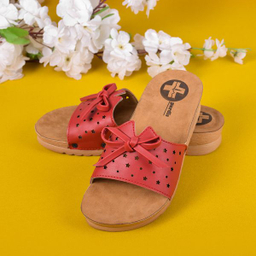 دمپایی زنانه پردیس مدل RD.2511