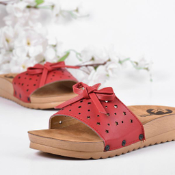 دمپایی زنانه پردیس مدل RD.2511