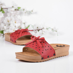 دمپایی زنانه پردیس مدل RD.2511