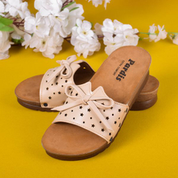 دمپایی زنانه پردیس مدل CR.2511