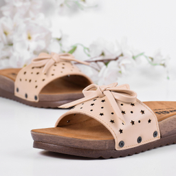 دمپایی زنانه پردیس مدل CR.2511