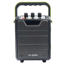 اسپیکر بلوتوثی قابل حمل دبلیو-کینگ (W-King) مدل H2S