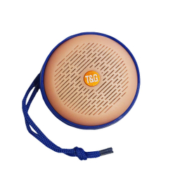 اسپیکر بلوتوثی قابل حمل تی اند جی (T&G) مدل Tg607