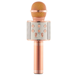 میکروفون اسپیکر وستر (Wster) مدل WS 858