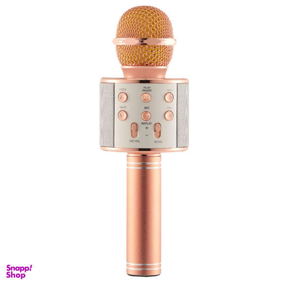 میکروفون اسپیکر وستر (Wster) مدل WS 858