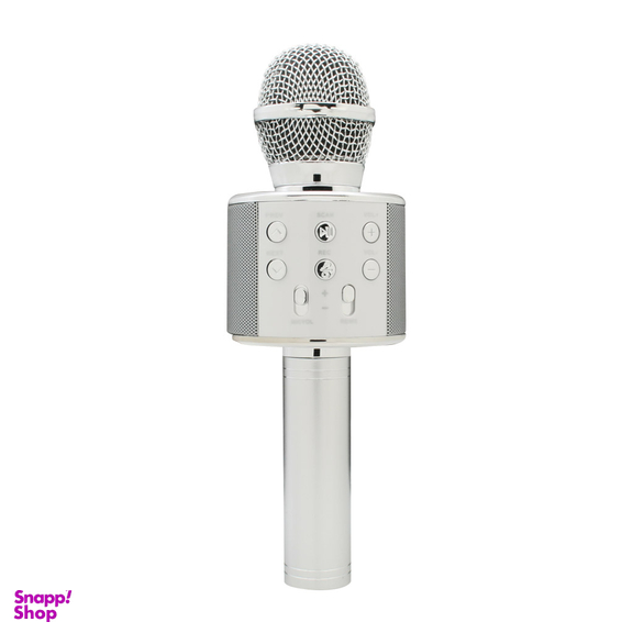 میکروفون اسپیکر وستر (Wster) مدل WS 858