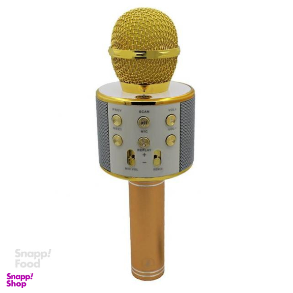 میکروفون اسپیکر وستر (Wster) مدل WS 858