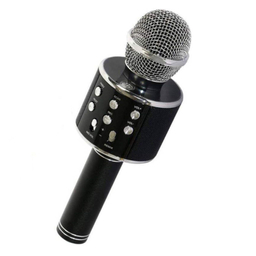 میکروفون اسپیکر وستر (Wster) مدل WS 858