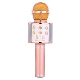 میکروفون اسپیکر وستر (Wster) مدل WS 858